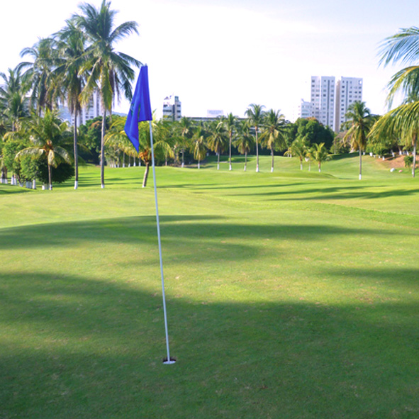 JUGAR GOLF – ACAPULCO, GOLF